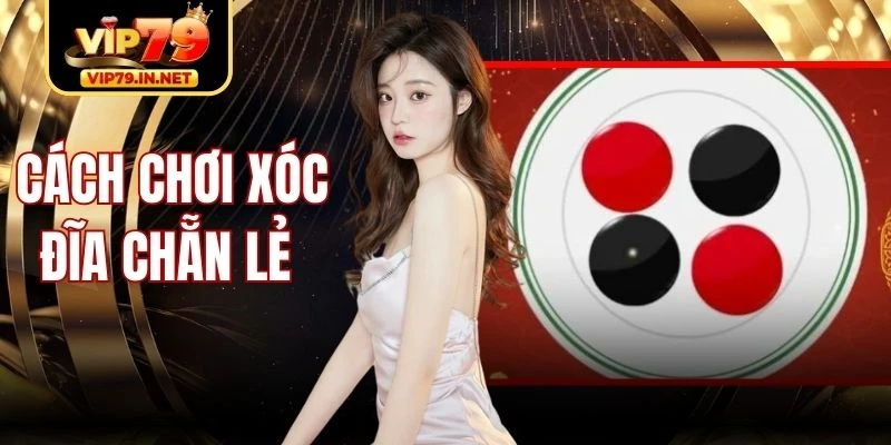 Cách Chơi Xóc Đĩa Chẵn Lẻ Chỉ Dẫn Chi Tiết Tân Thủ Vip79