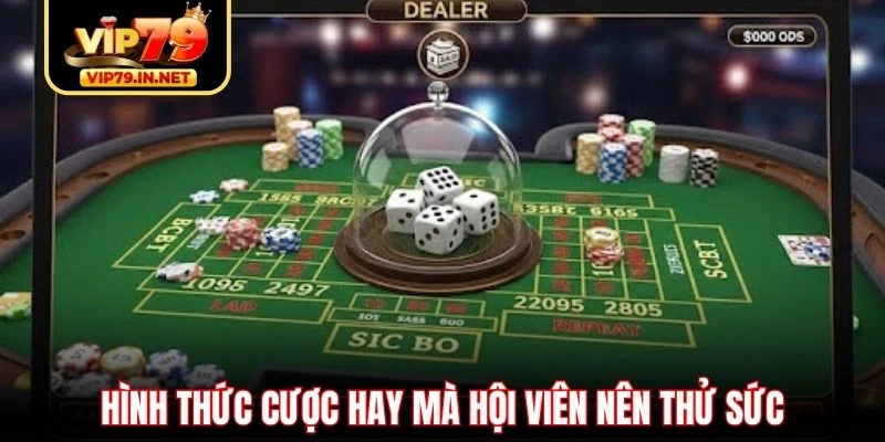 Hình thức cược hay mà hội viên nên thử sức